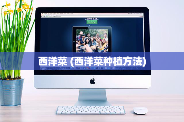 西洋菜 (西洋菜种植方法)