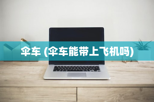 伞车 (伞车能带上飞机吗)