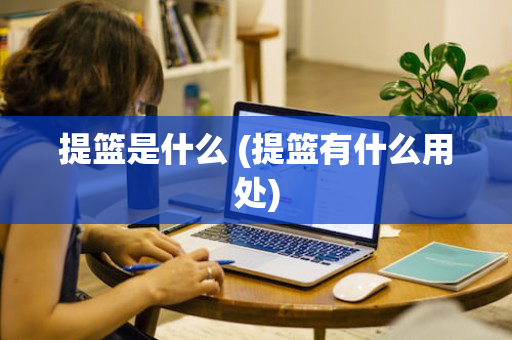 提篮是什么 (提篮有什么用处)