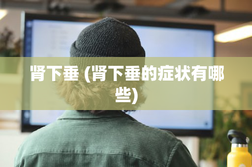 肾下垂 (肾下垂的症状有哪些)