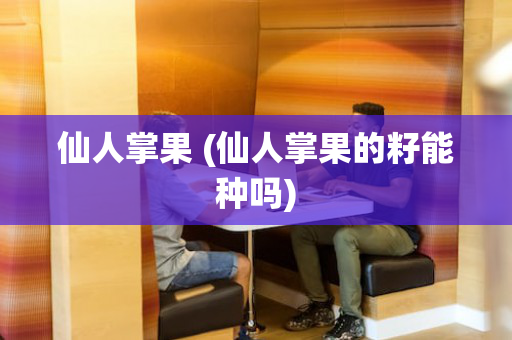 仙人掌果 (仙人掌果的籽能种吗)