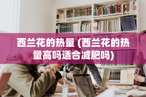 西兰花的热量 (西兰花的热量高吗适合减肥吗)