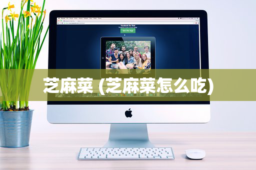 芝麻菜 (芝麻菜怎么吃)