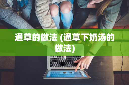 通草的做法 (通草下奶汤的做法)