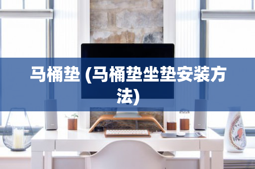 马桶垫 (马桶垫坐垫安装方法)
