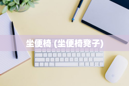 坐便椅 (坐便椅凳子)