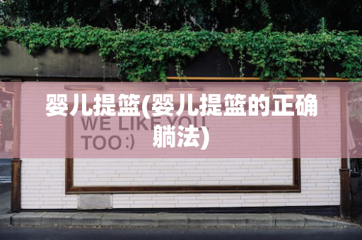 婴儿提篮(婴儿提篮的正确躺法)