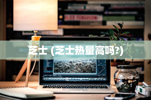 芝士 (芝士热量高吗?)
