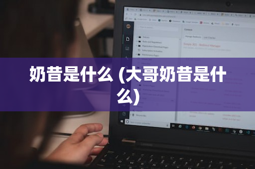 奶昔是什么 (大哥奶昔是什么)