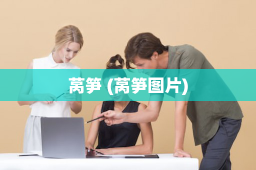 莴笋 (莴笋图片)