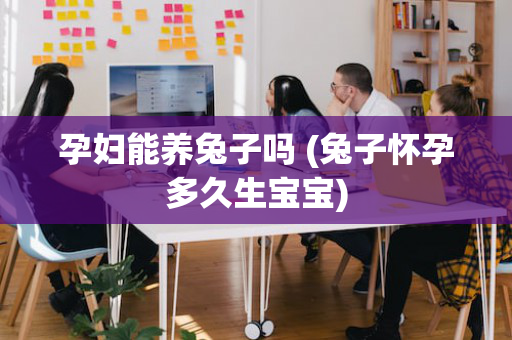 孕妇能养兔子吗 (兔子怀孕多久生宝宝)