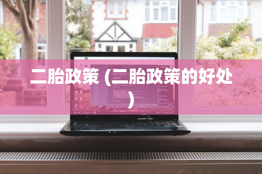 二胎政策 (二胎政策的好处)