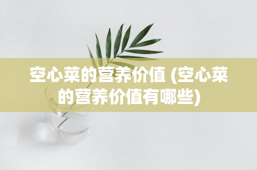 空心菜的营养价值 (空心菜的营养价值有哪些)