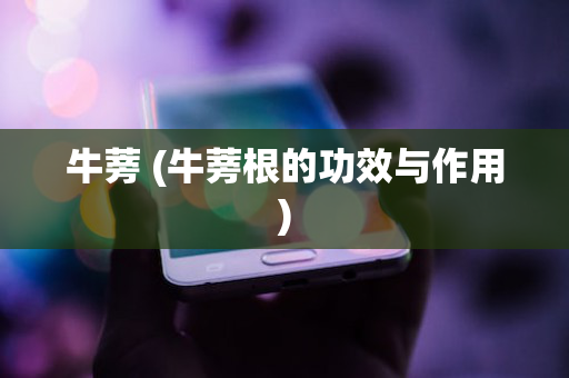 牛蒡 (牛蒡根的功效与作用)