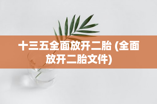 十三五全面放开二胎 (全面放开二胎文件)