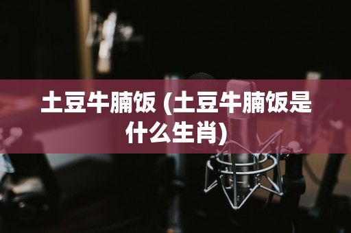 土豆牛腩饭 (土豆牛腩饭是什么生肖)