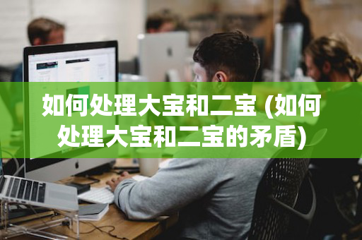 如何处理大宝和二宝 (如何处理大宝和二宝的矛盾)