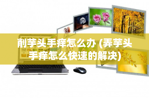 削芋头手痒怎么办 (弄芋头手痒怎么快速的解决)