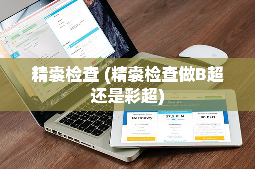 精囊检查 (精囊检查做B超还是彩超)