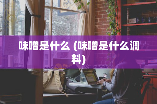 味噌是什么 (味噌是什么调料)
