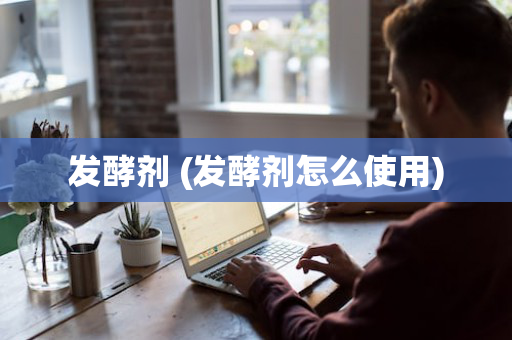 发酵剂 (发酵剂怎么使用)