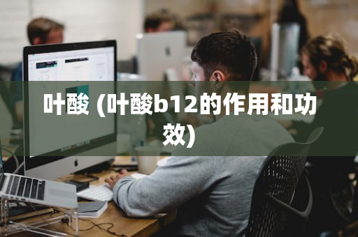 叶酸 (叶酸b12的作用和功效)