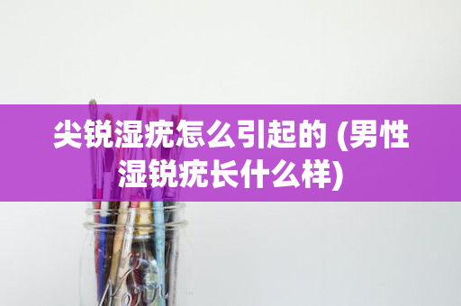 尖锐湿疣怎么引起的 (男性湿锐疣长什么样)