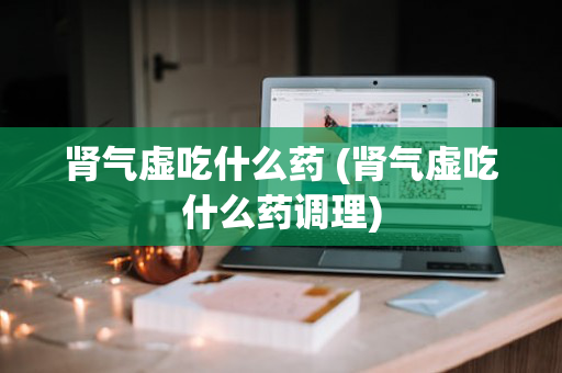 肾气虚吃什么药 (肾气虚吃什么药调理)