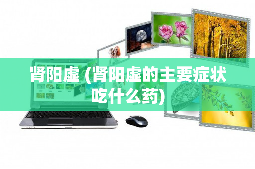 肾阳虚 (肾阳虚的主要症状吃什么药)