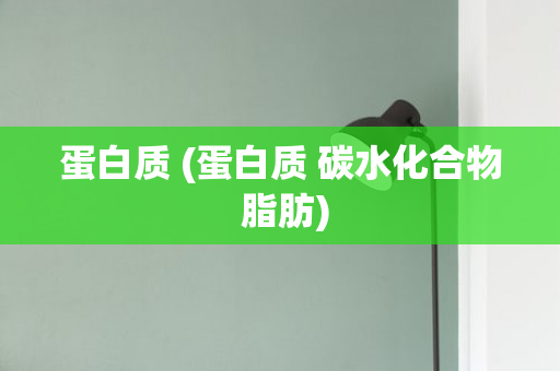 蛋白质 (蛋白质 碳水化合物 脂肪)