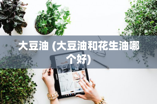 大豆油 (大豆油和花生油哪个好)