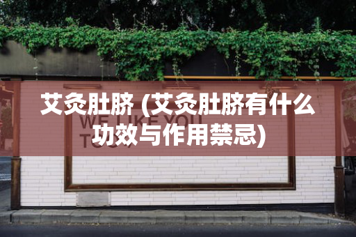 艾灸肚脐 (艾灸肚脐有什么功效与作用禁忌)