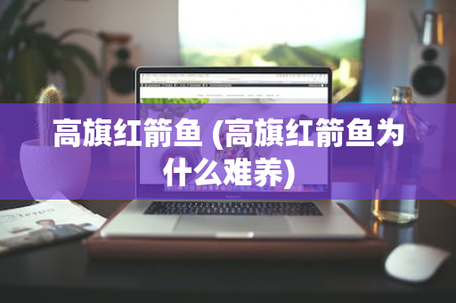 高旗红箭鱼 (高旗红箭鱼为什么难养)