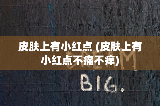 皮肤上有小红点 (皮肤上有小红点不痛不痒)