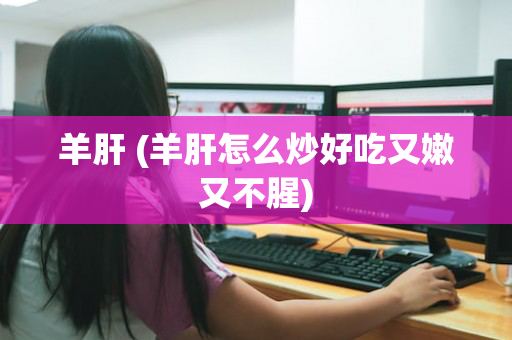 羊肝 (羊肝怎么炒好吃又嫩又不腥)
