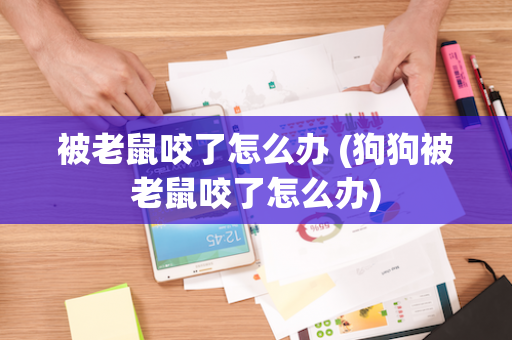 被老鼠咬了怎么办 (狗狗被老鼠咬了怎么办)