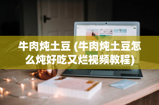 牛肉炖土豆 (牛肉炖土豆怎么炖好吃又烂视频教程)