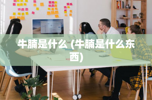 牛腩是什么 (牛腩是什么东西)