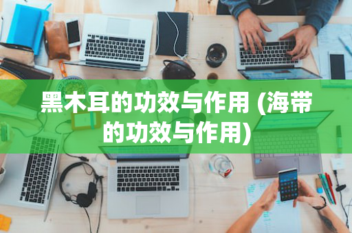 黑木耳的功效与作用 (海带的功效与作用)