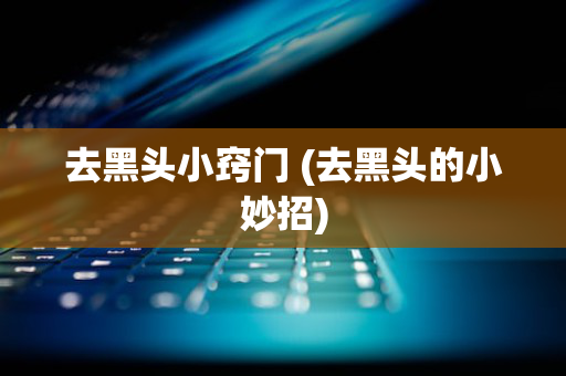 去黑头小窍门 (去黑头的小妙招)