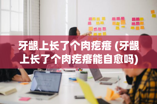 牙龈上长了个肉疙瘩 (牙龈上长了个肉疙瘩能自愈吗)