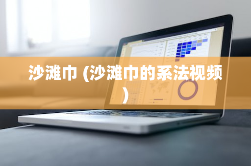 沙滩巾 (沙滩巾的系法视频)