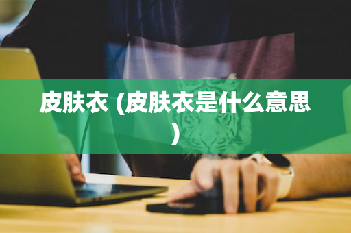 皮肤衣 (皮肤衣是什么意思)