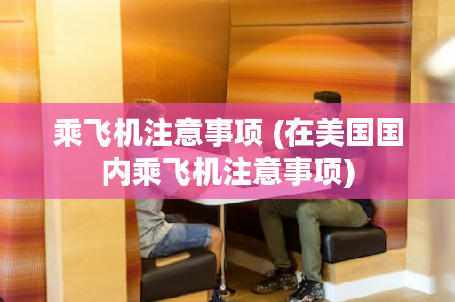 乘飞机注意事项 (在美国国内乘飞机注意事项)
