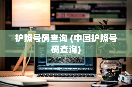 护照号码查询 (中国护照号码查询)