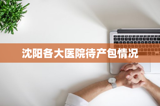 沈阳各大医院待产包情况