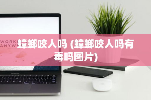 蟑螂咬人吗 (蟑螂咬人吗有毒吗图片)