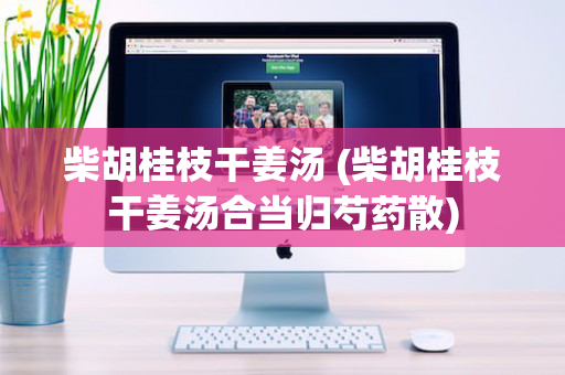 柴胡桂枝干姜汤 (柴胡桂枝干姜汤合当归芍药散)