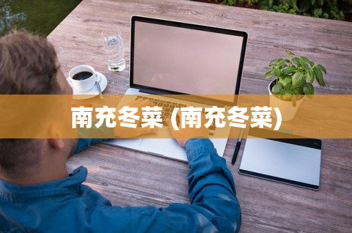 南充冬菜 (南充冬菜)