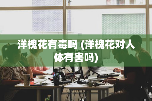 洋槐花有毒吗 (洋槐花对人体有害吗)